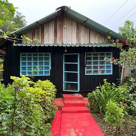 Flor De La Selva Apartment Puerto Narino Ngoại thất bức ảnh