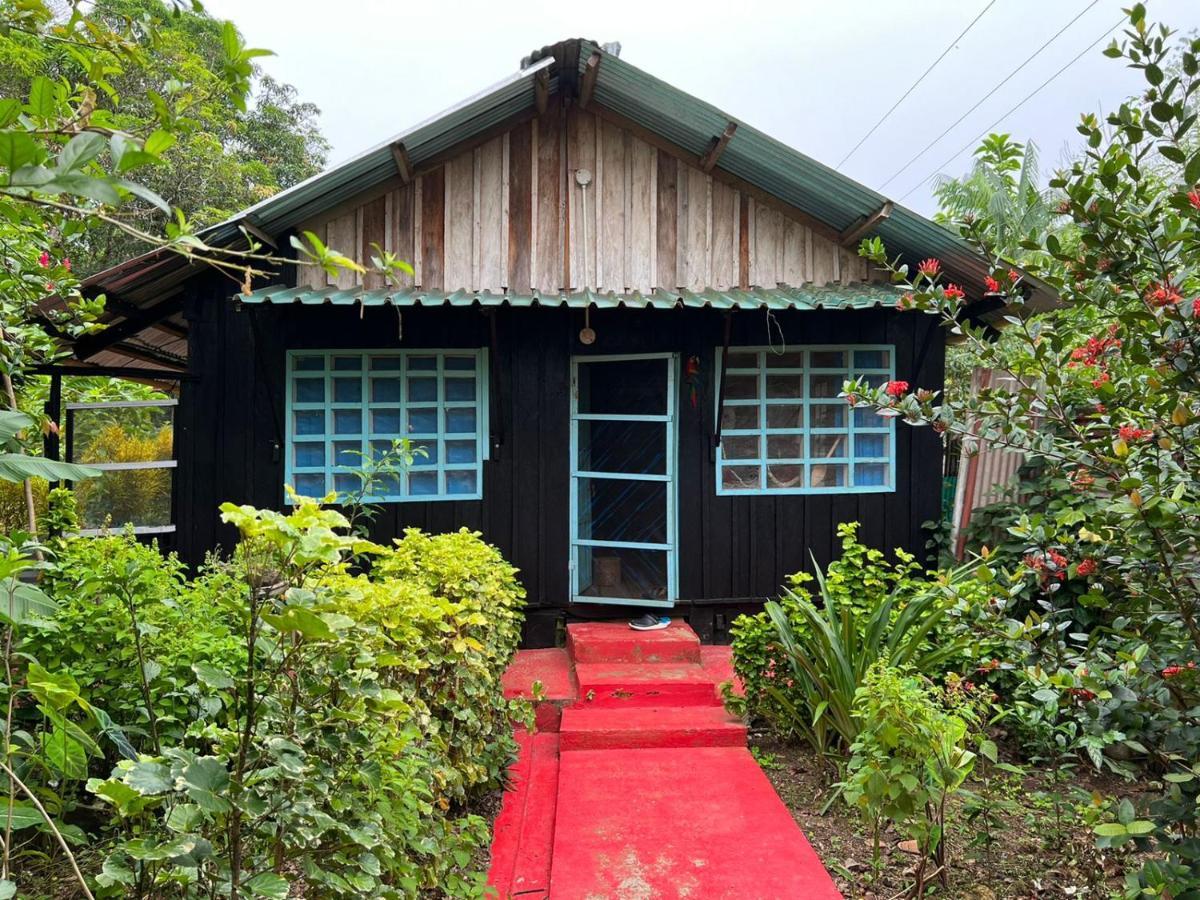 Flor De La Selva Apartment Puerto Narino Ngoại thất bức ảnh