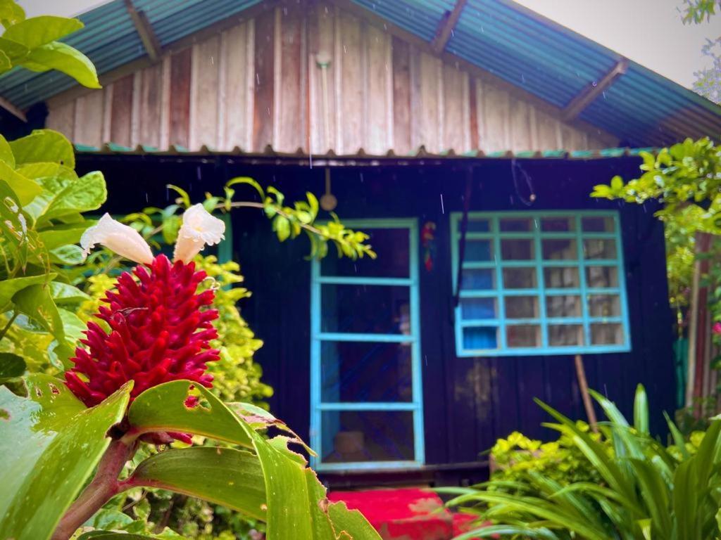 Flor De La Selva Apartment Puerto Narino Ngoại thất bức ảnh