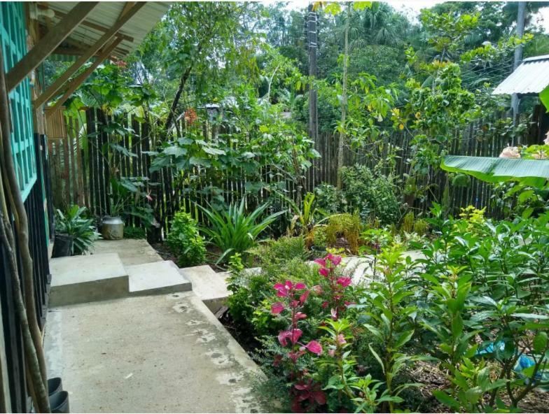 Flor De La Selva Apartment Puerto Narino Ngoại thất bức ảnh